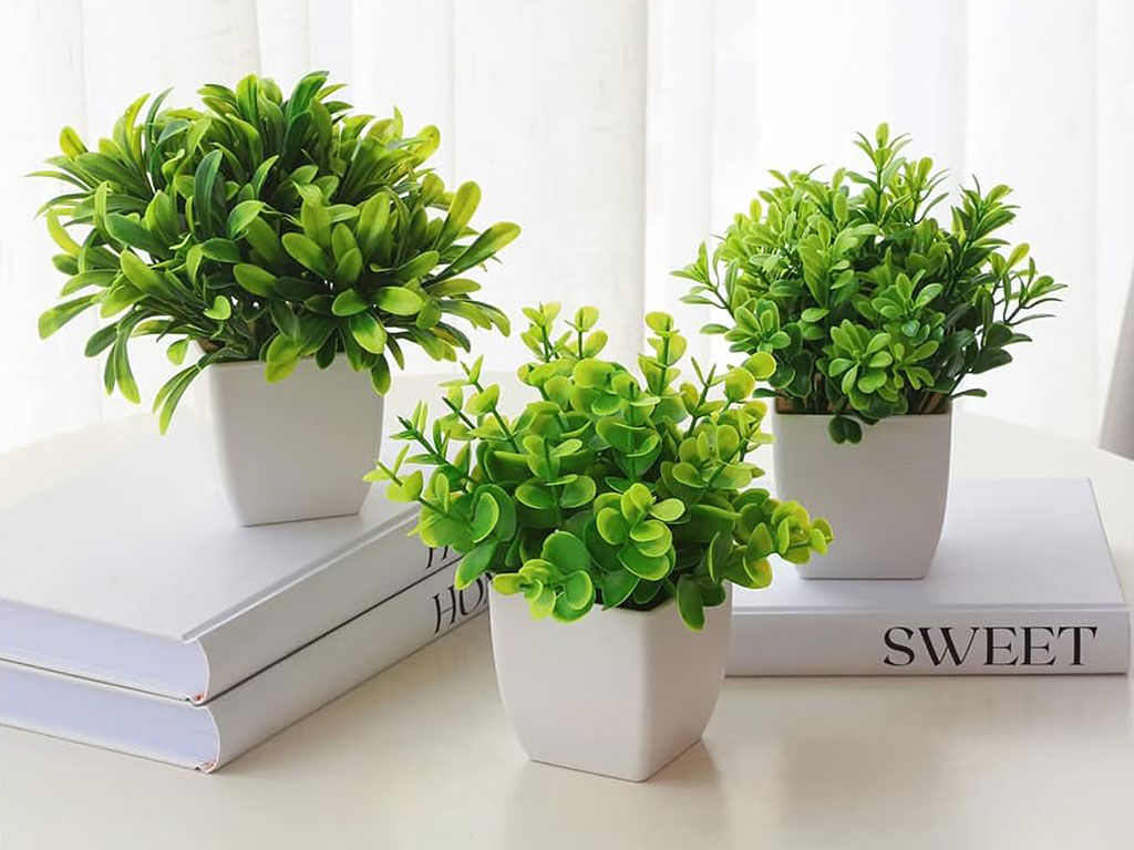 Plantas real touch