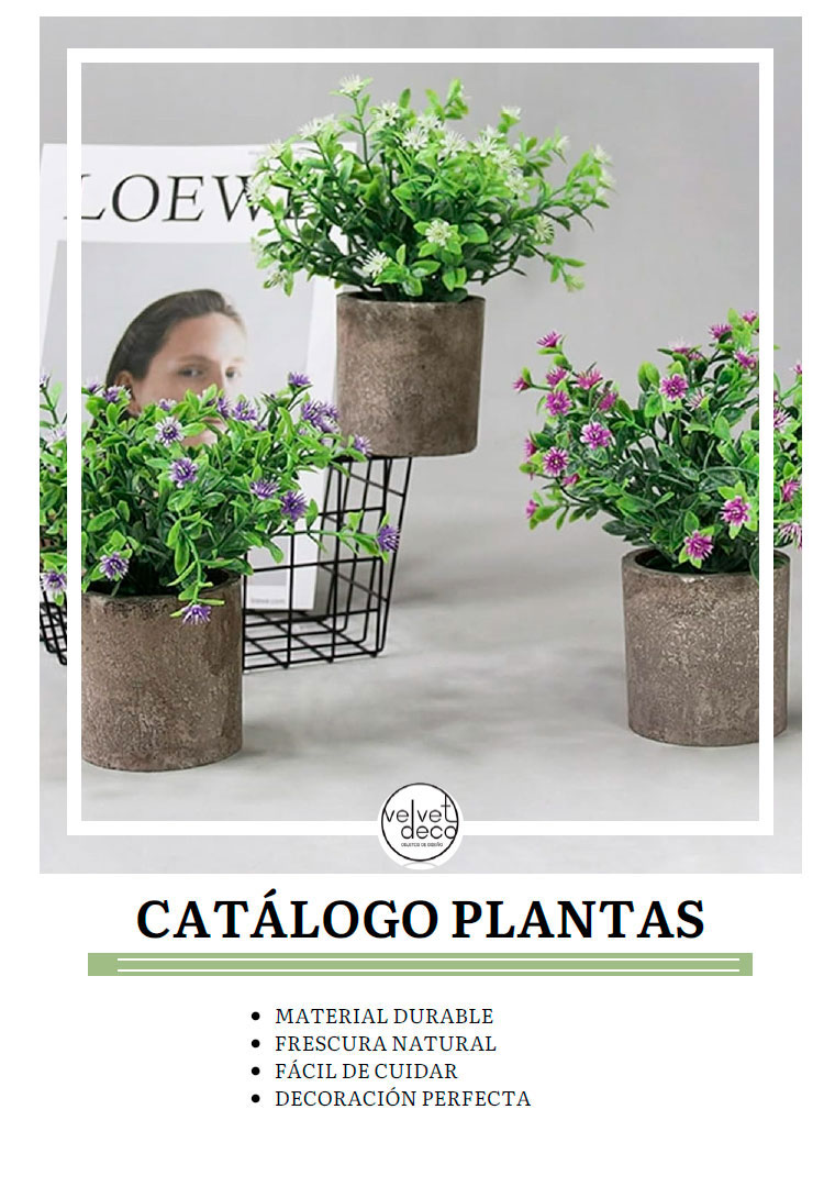 Catálogo plantas